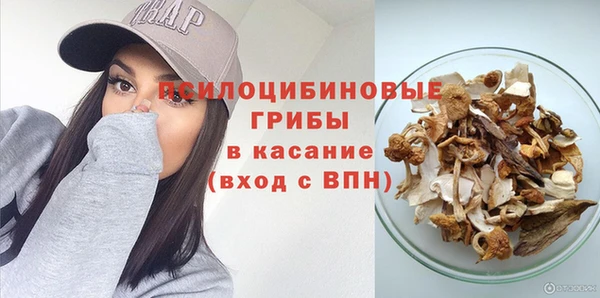 дурь Арсеньев