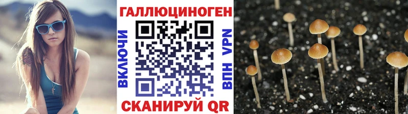 Псилоцибиновые грибы мицелий  Ростов 