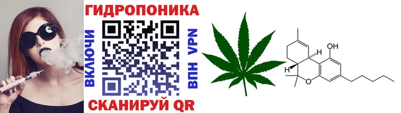 Каннабис конопля  купить наркотики сайты  Ростов 